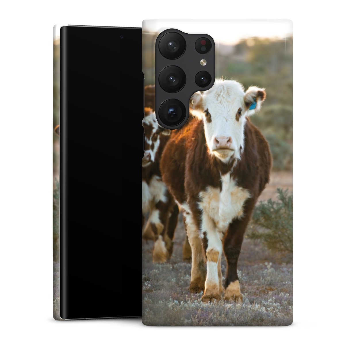 Cover Premium