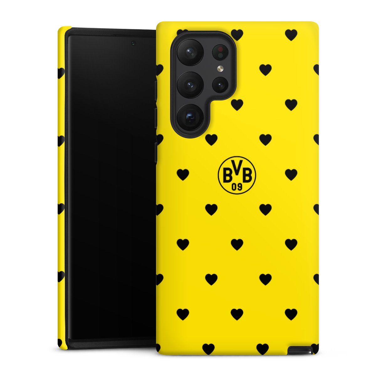 BVB Herzen