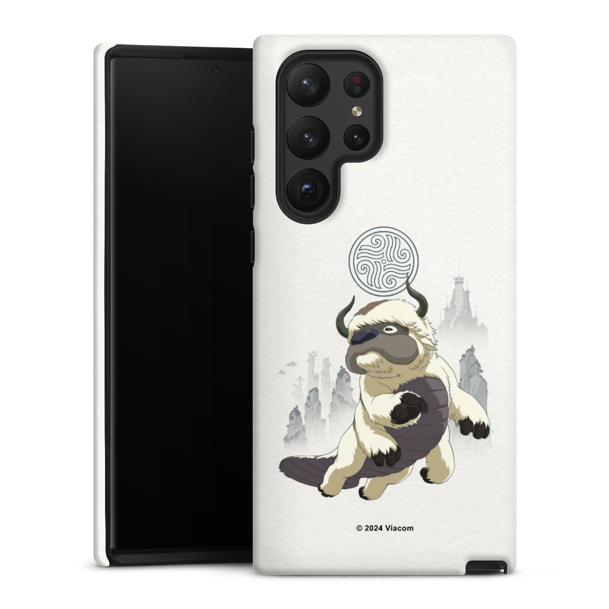 Coque renforcée