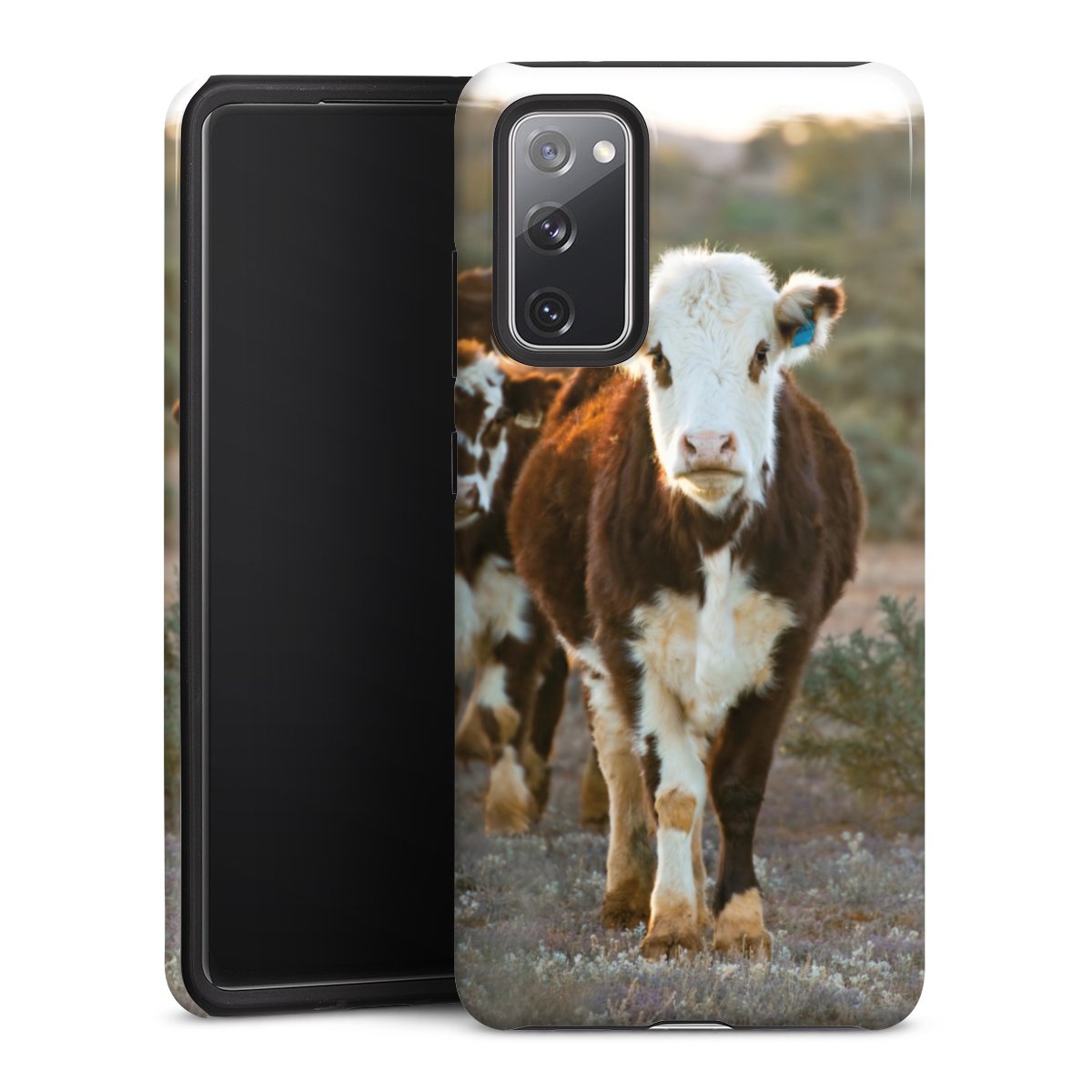 Coque renforcée