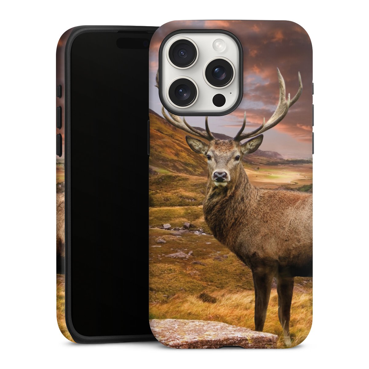 Cover rinforzata