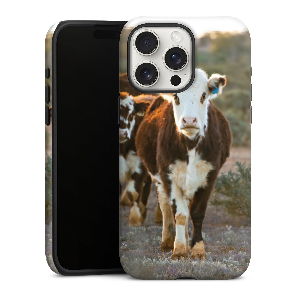 Coque renforcée