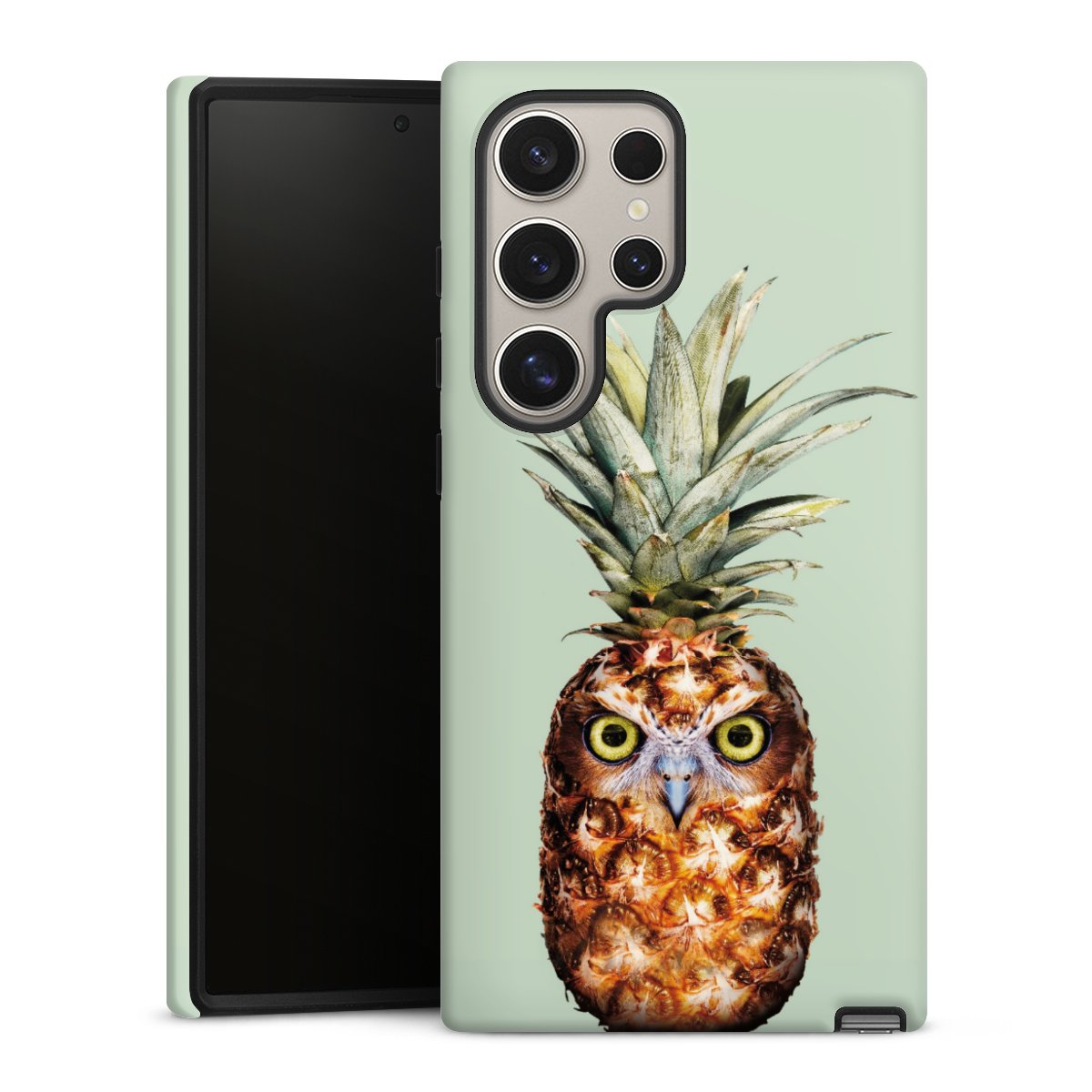 Hibou de l'ananas