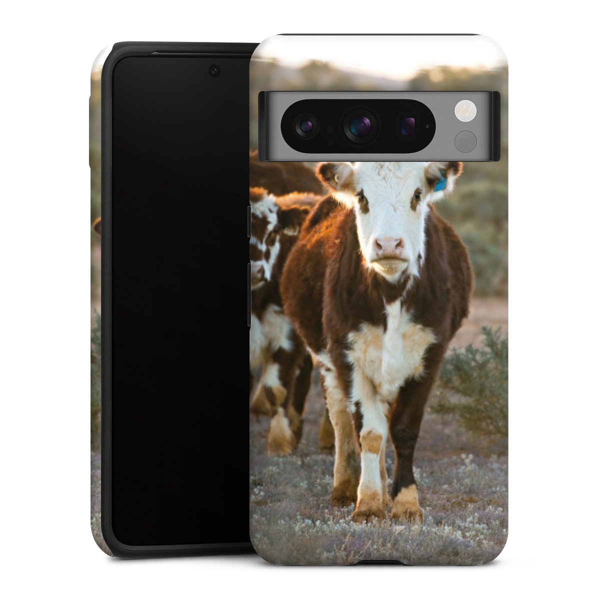 Coque renforcée