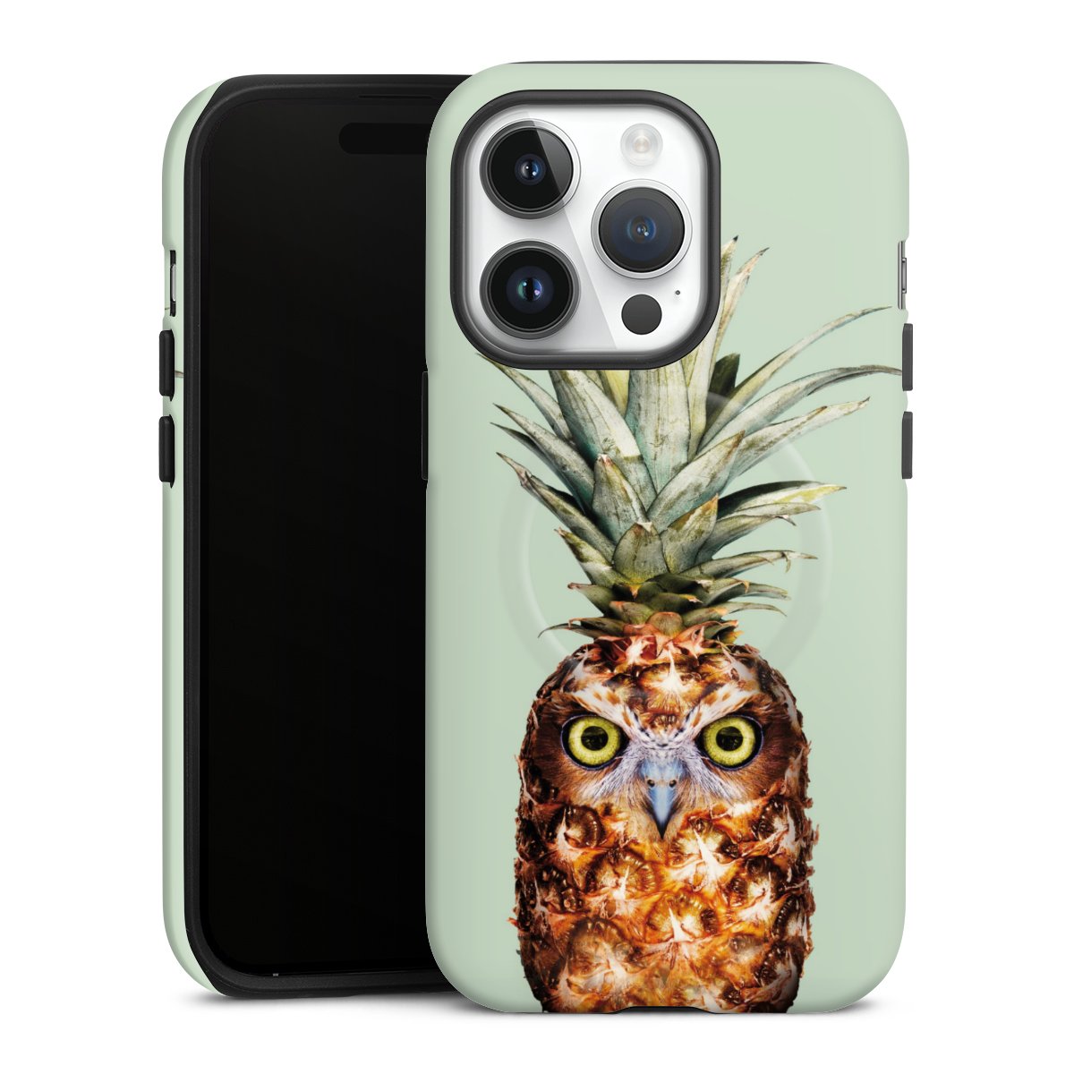 Hibou de l'ananas