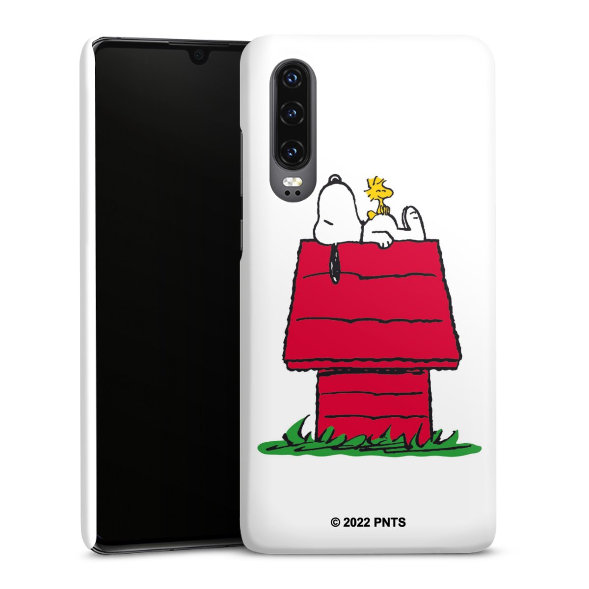 Snoopy and Woodstock Klassiek