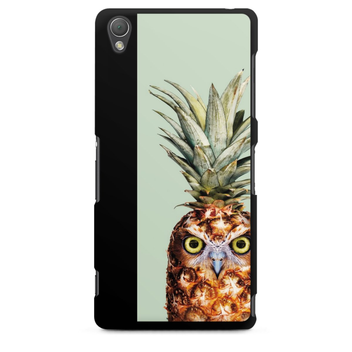 Hibou de l'ananas
