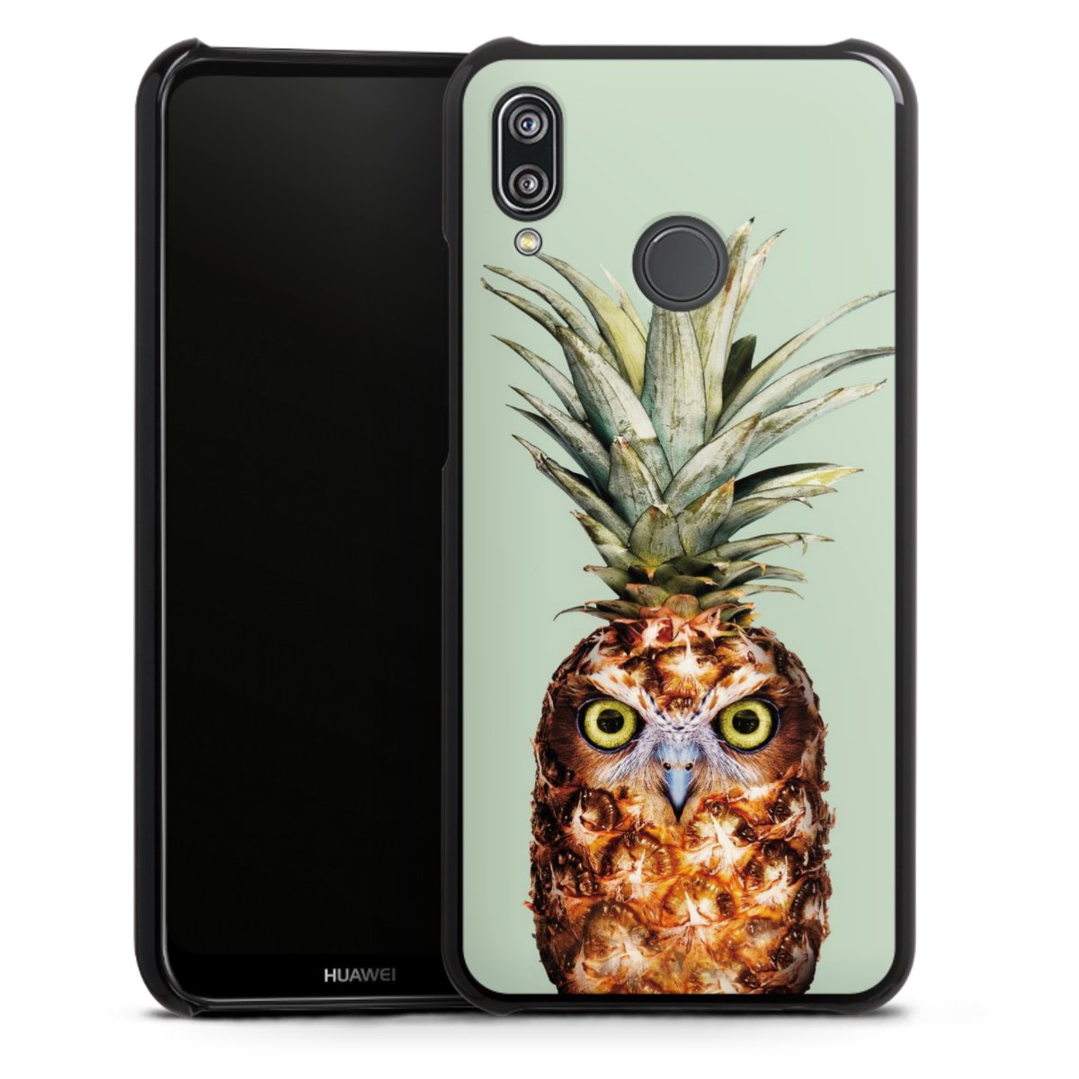 Hibou de l'ananas