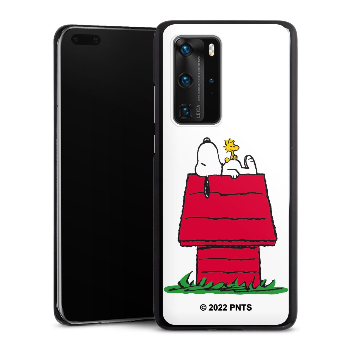 Snoopy and Woodstock Klassisch