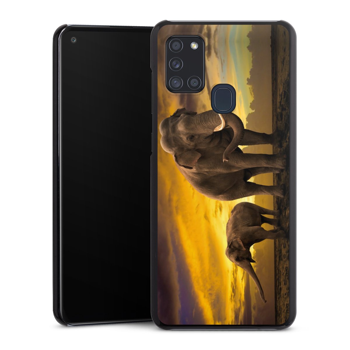 Cover rigida