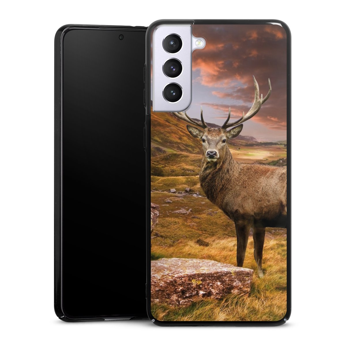 Coque rigide