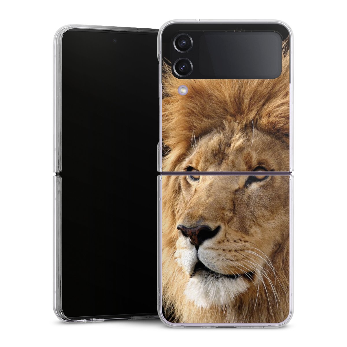 Coque rigide