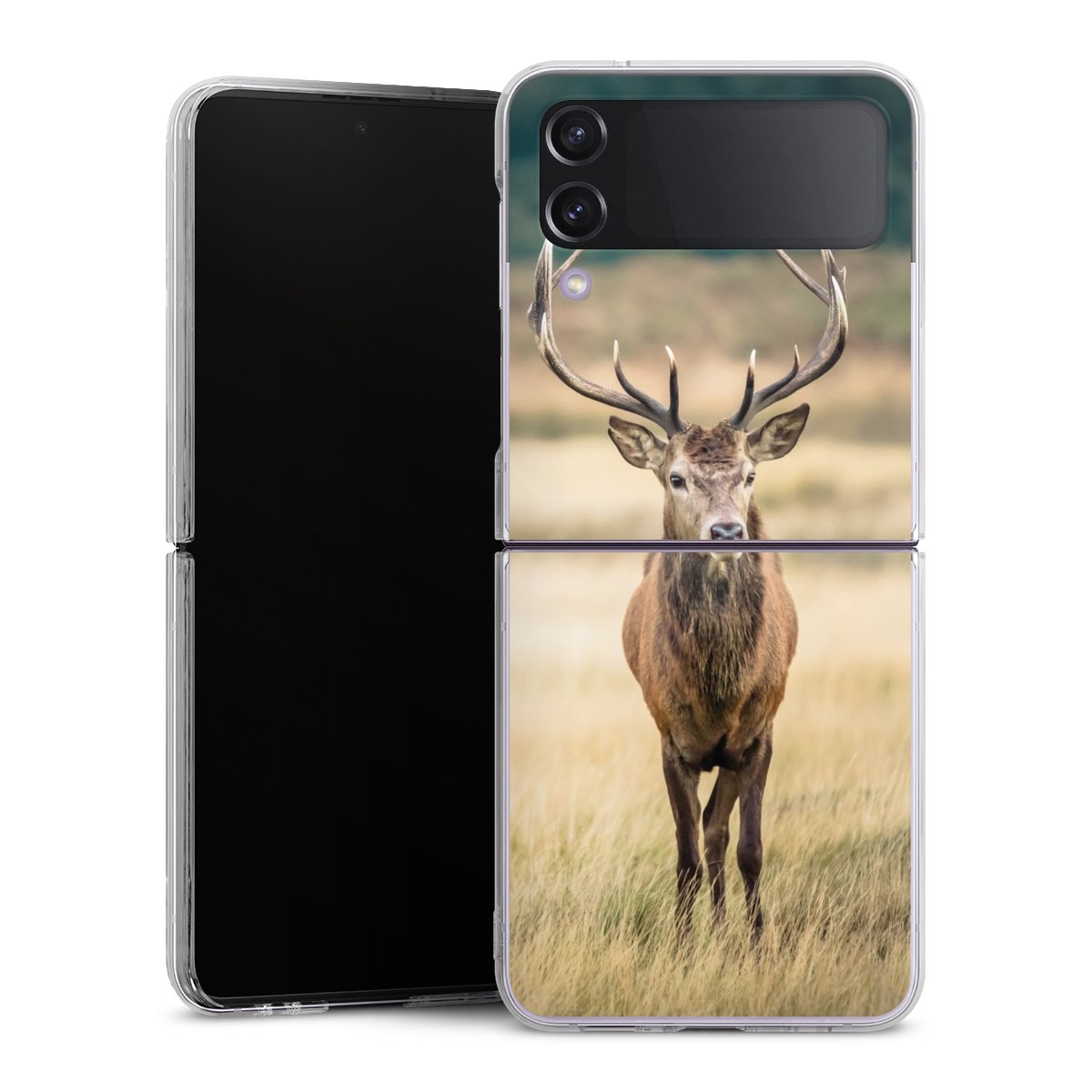Coque rigide
