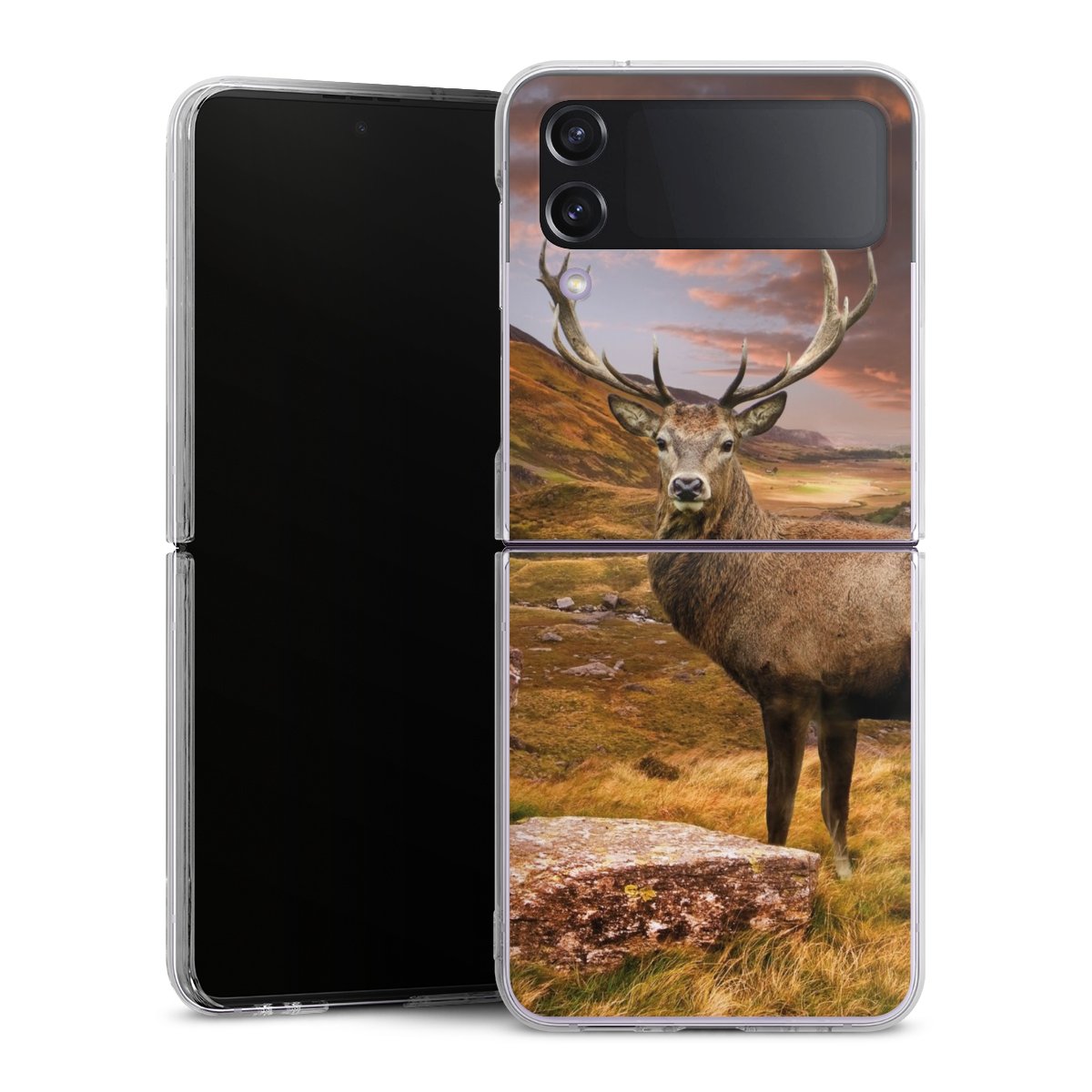 Coque rigide
