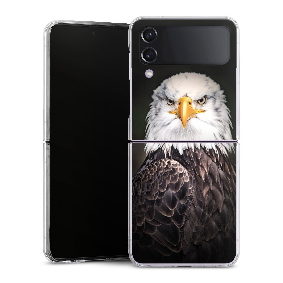 Coque rigide