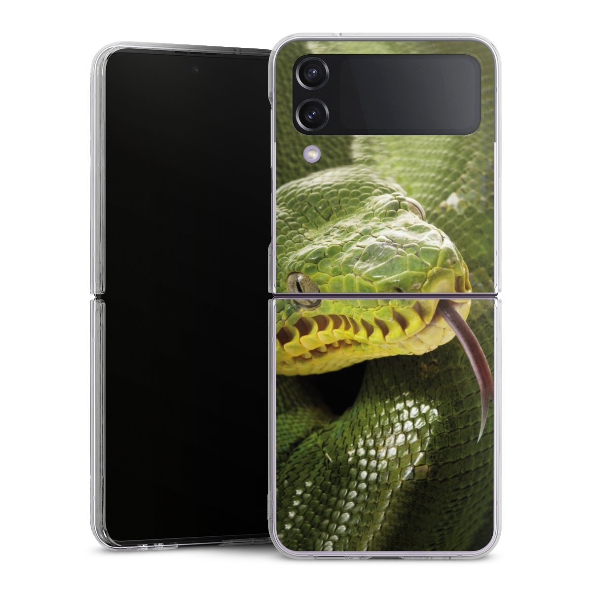 Coque rigide
