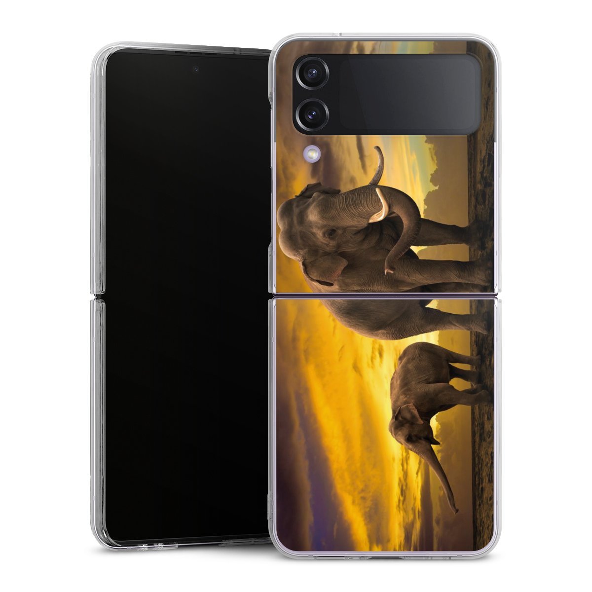 Cover rigida