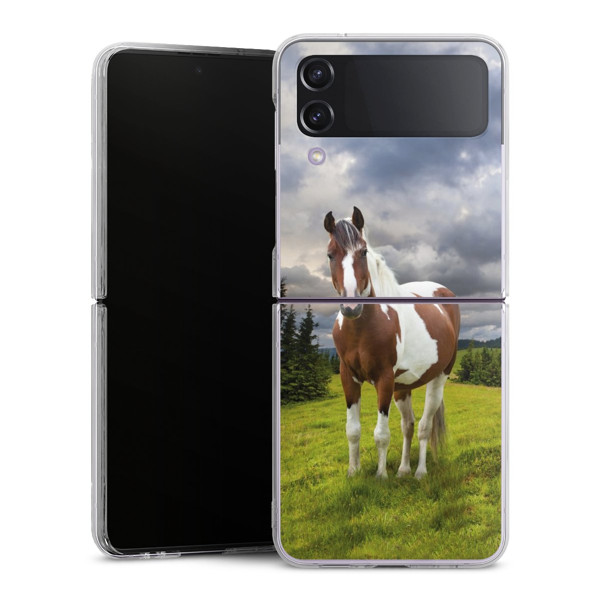 Coque rigide