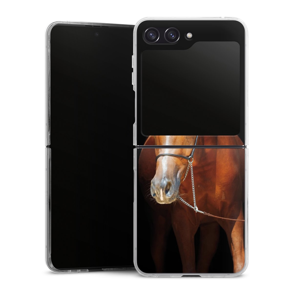 Coque rigide