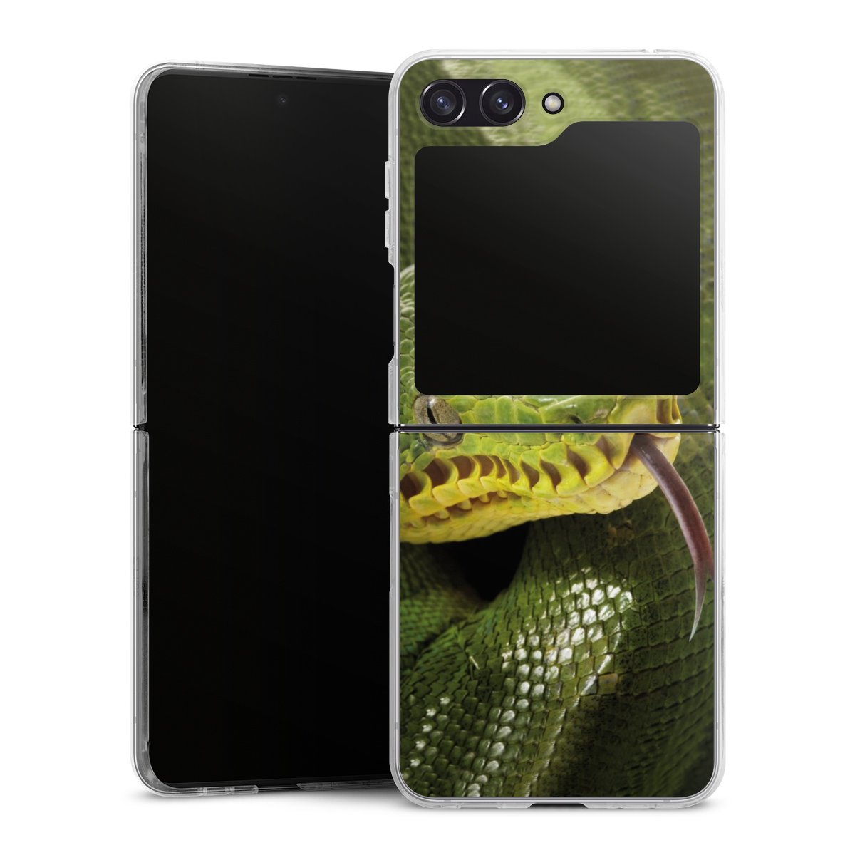 Coque rigide