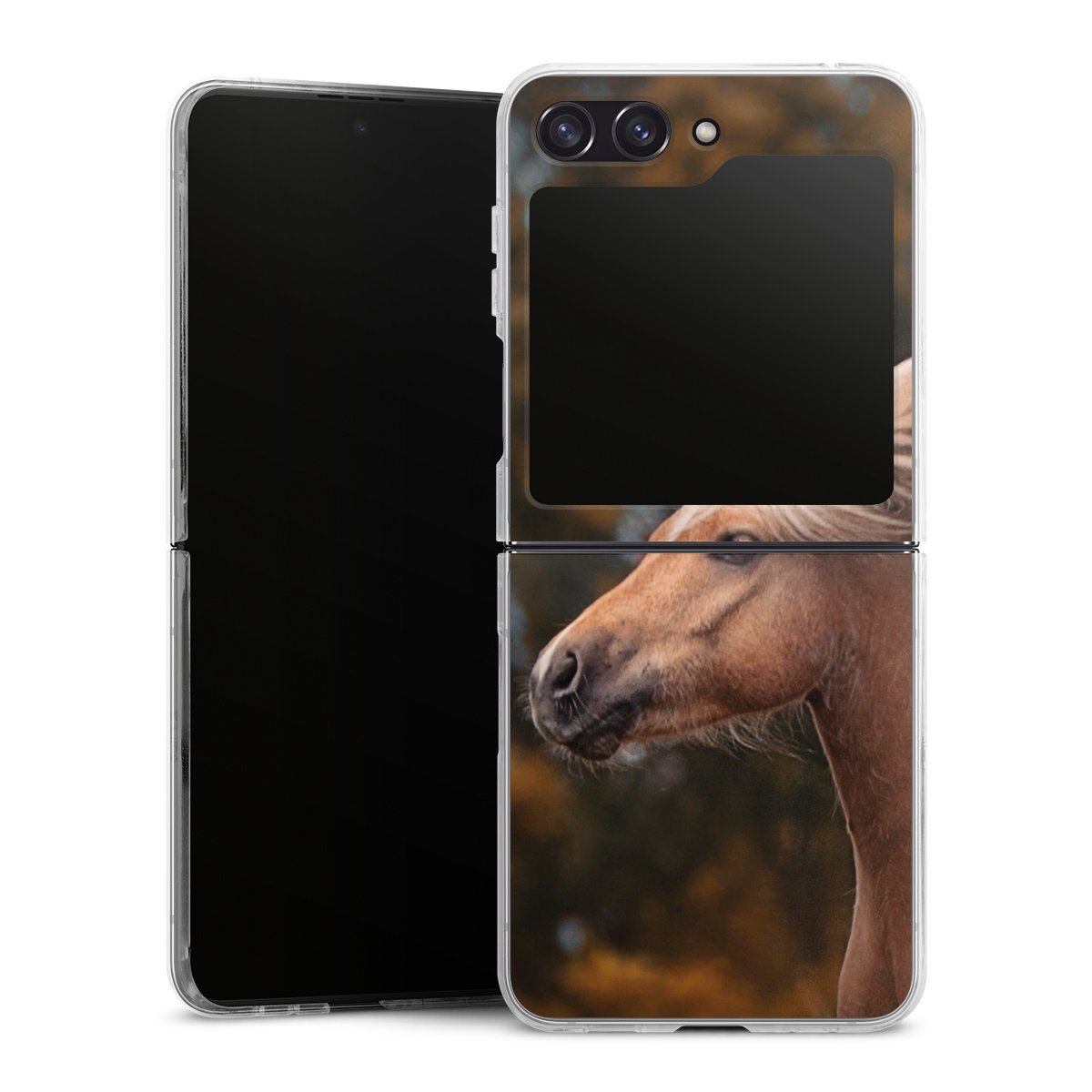 Coque rigide
