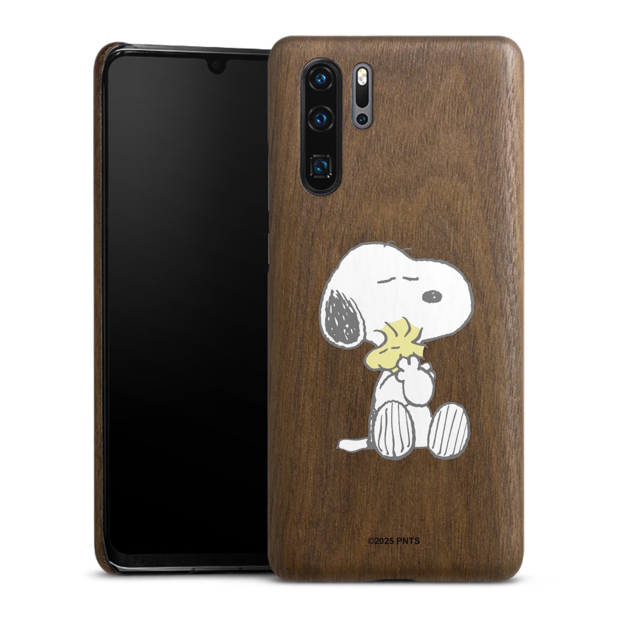 Snoopy And Woodstock Cuddling transparent