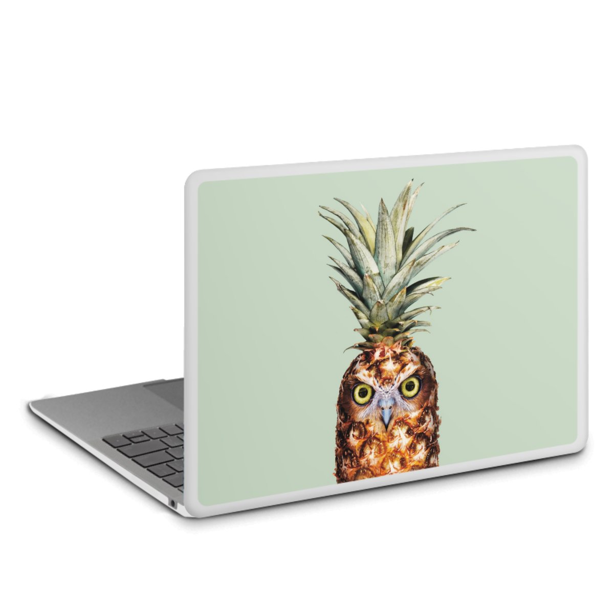 Ananas Kauz