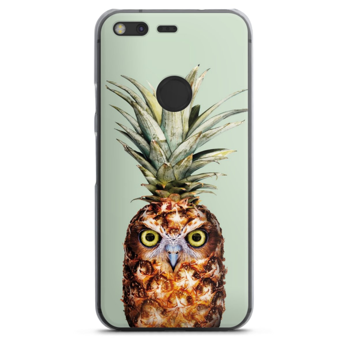 Hibou de l'ananas