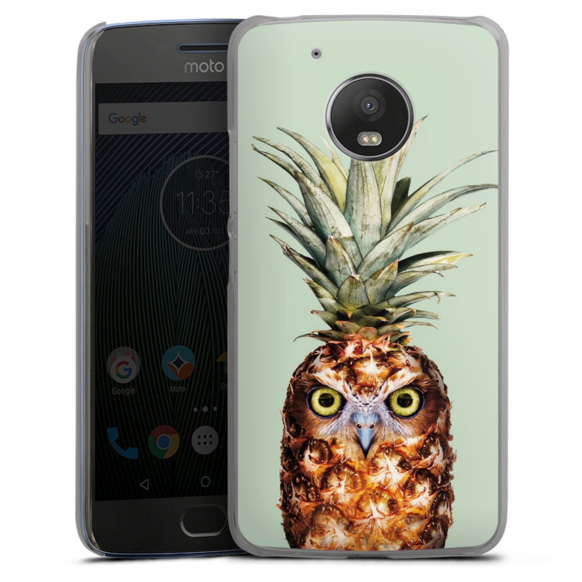 Hibou de l'ananas