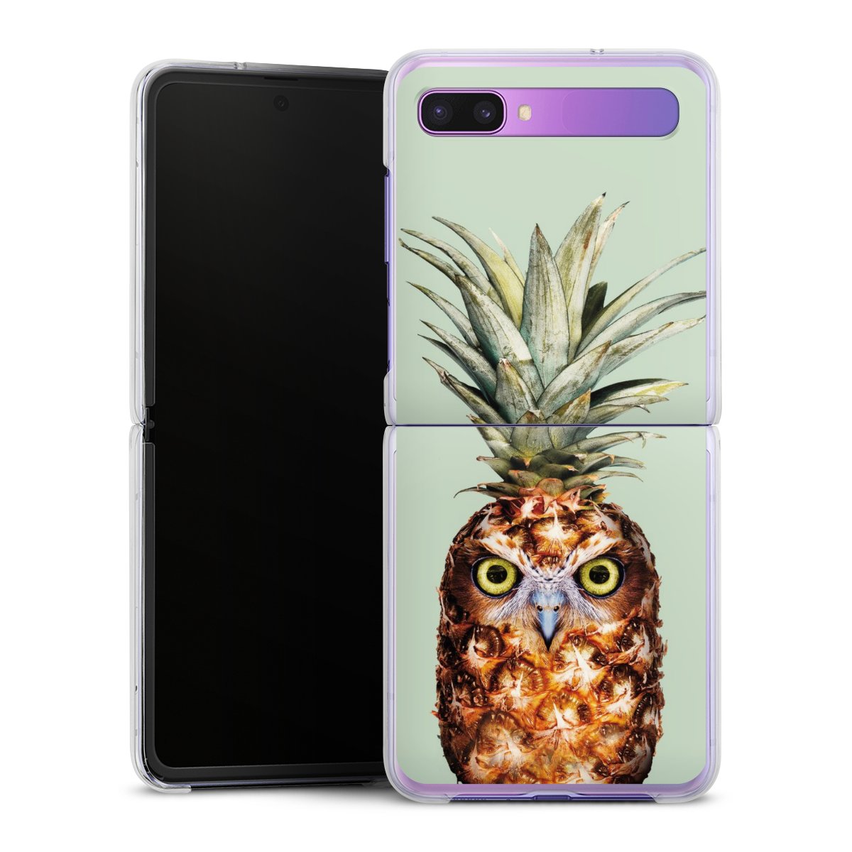 Hibou de l'ananas