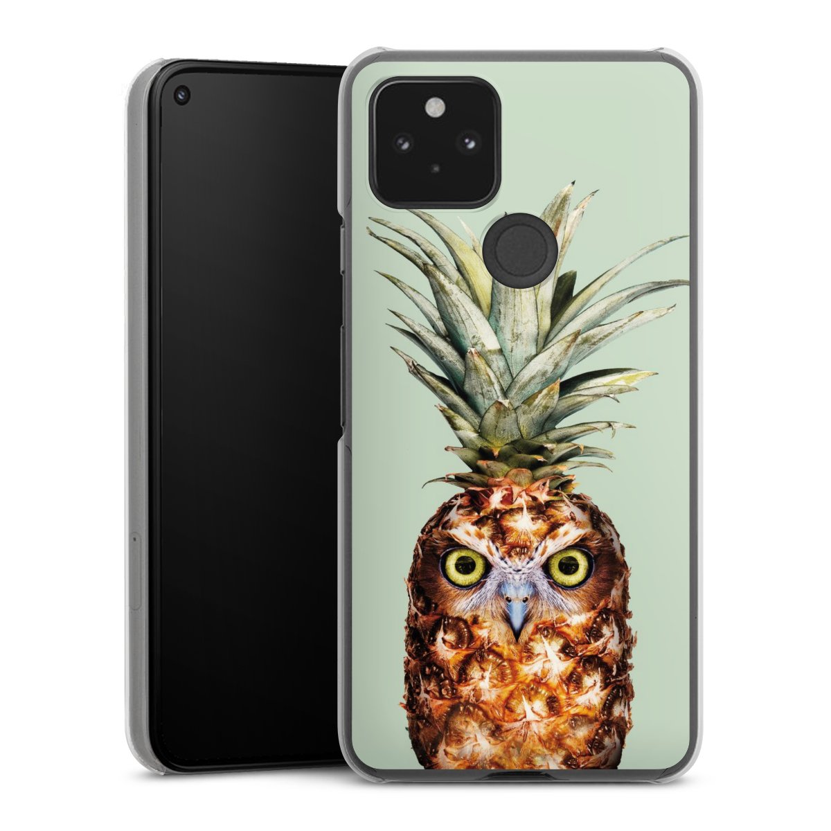 Hibou de l'ananas