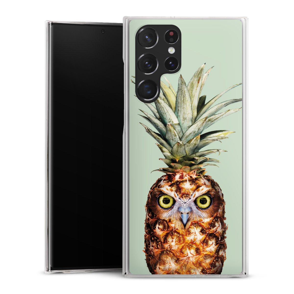 Hibou de l'ananas