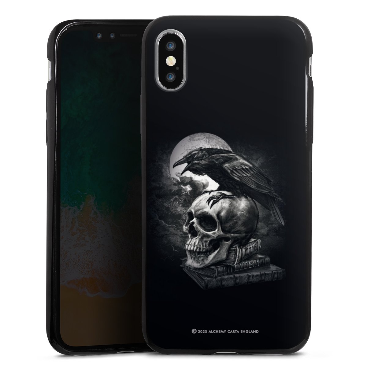 Poe's Raven