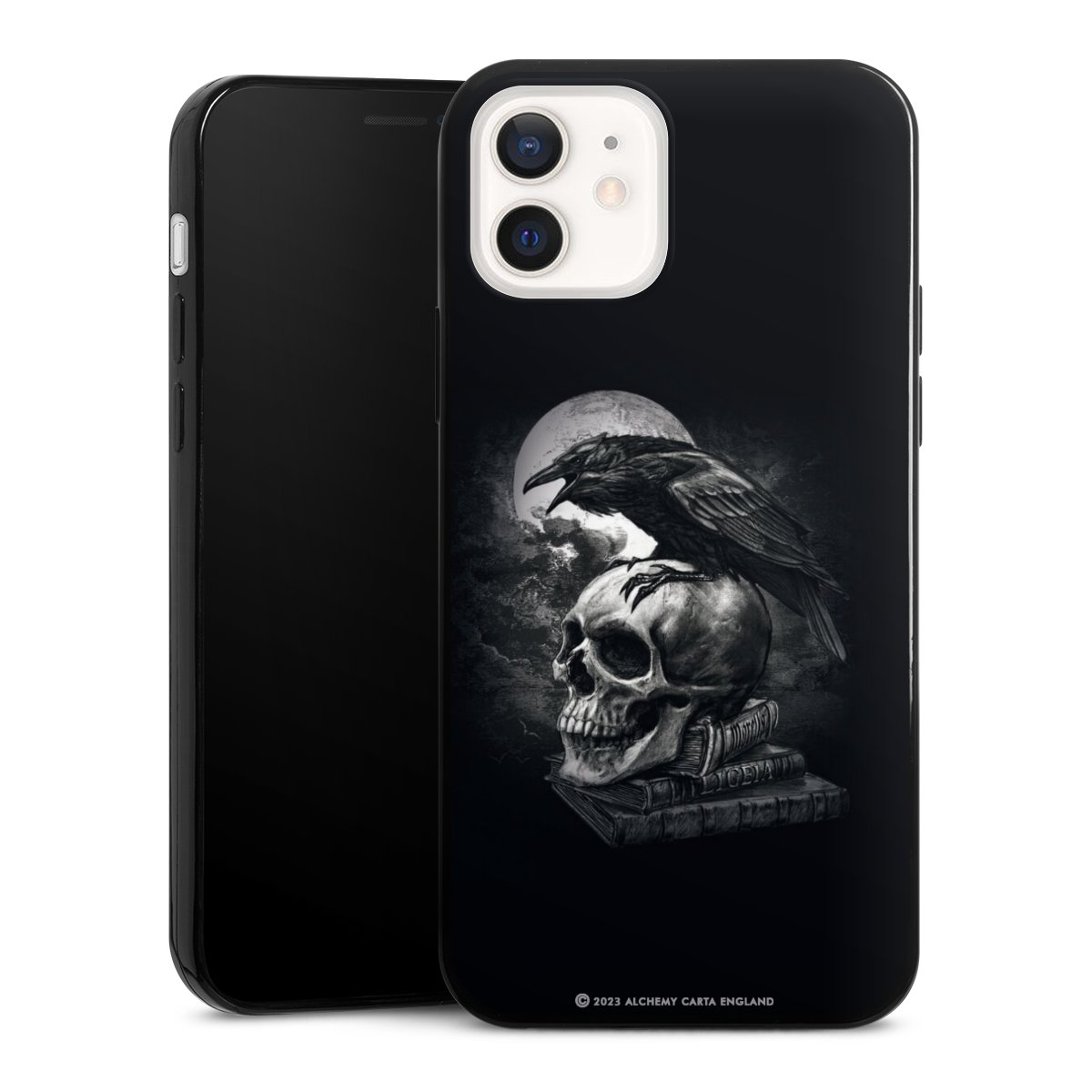 Poe's Raven