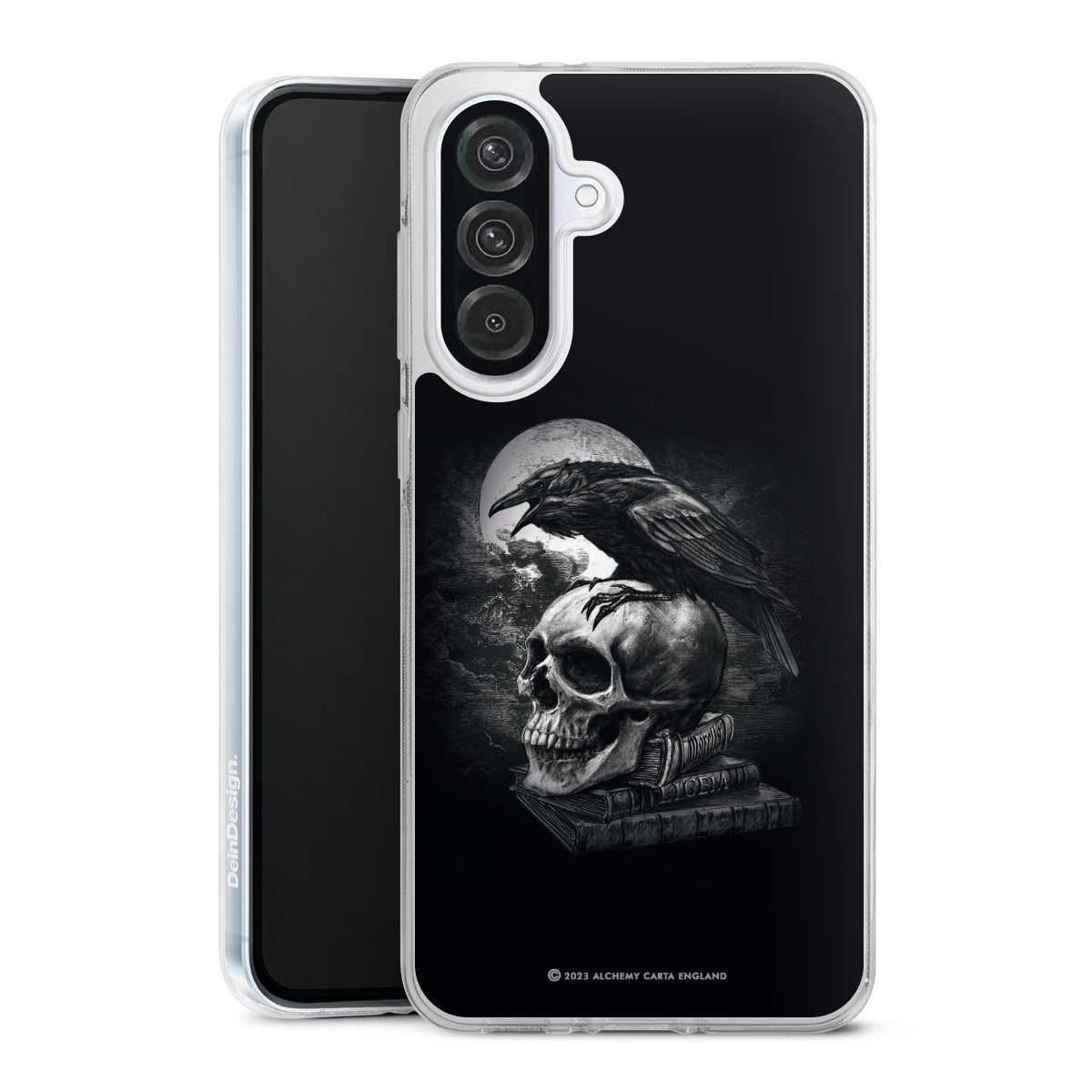 Poe's Raven