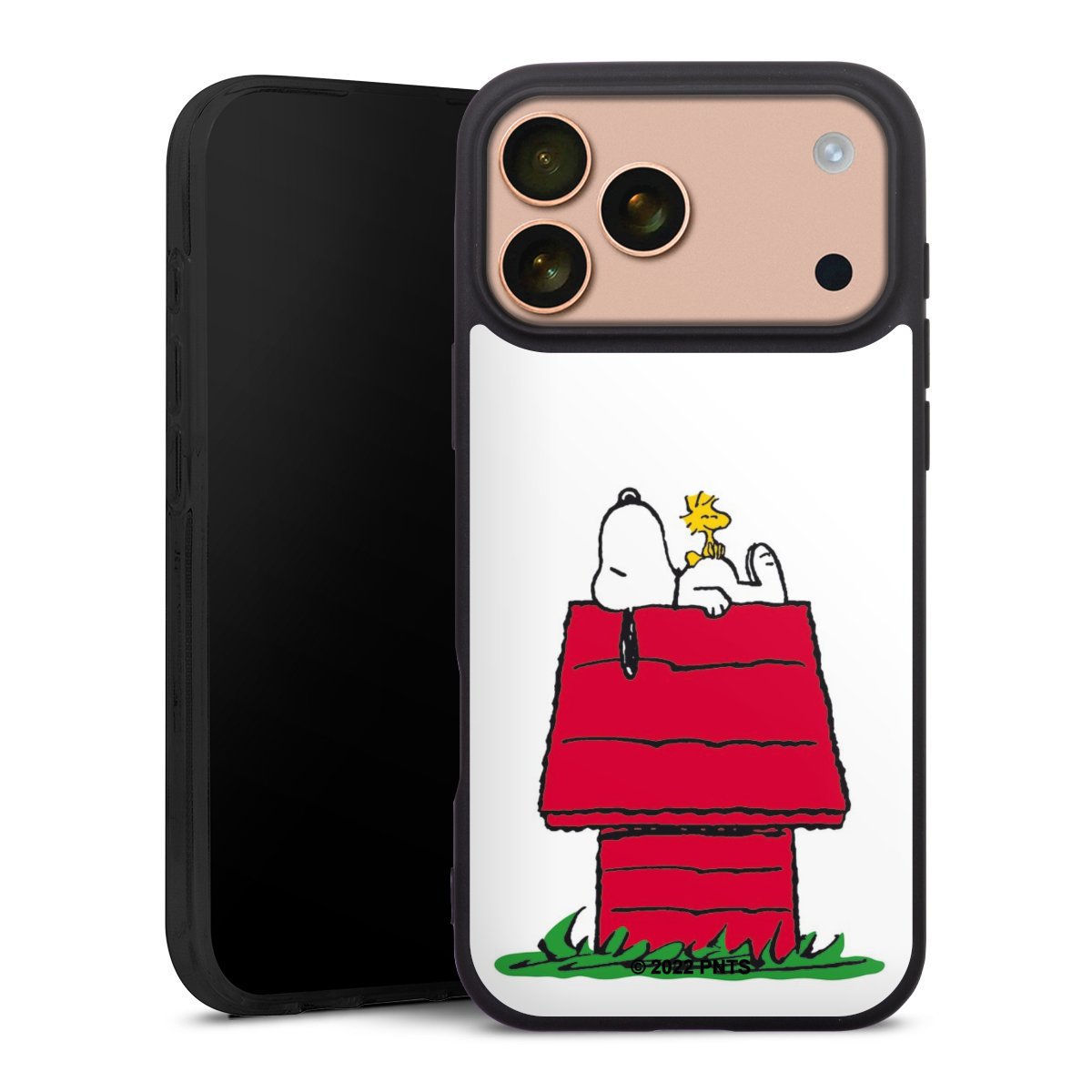 Snoopy and Woodstock Klassisch