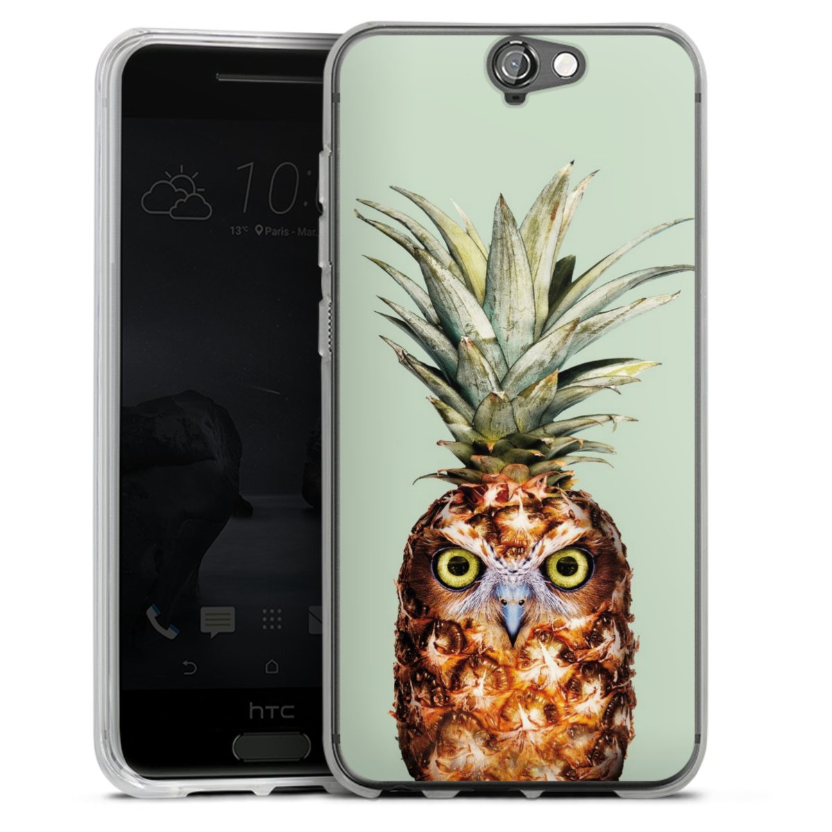 Hibou de l'ananas