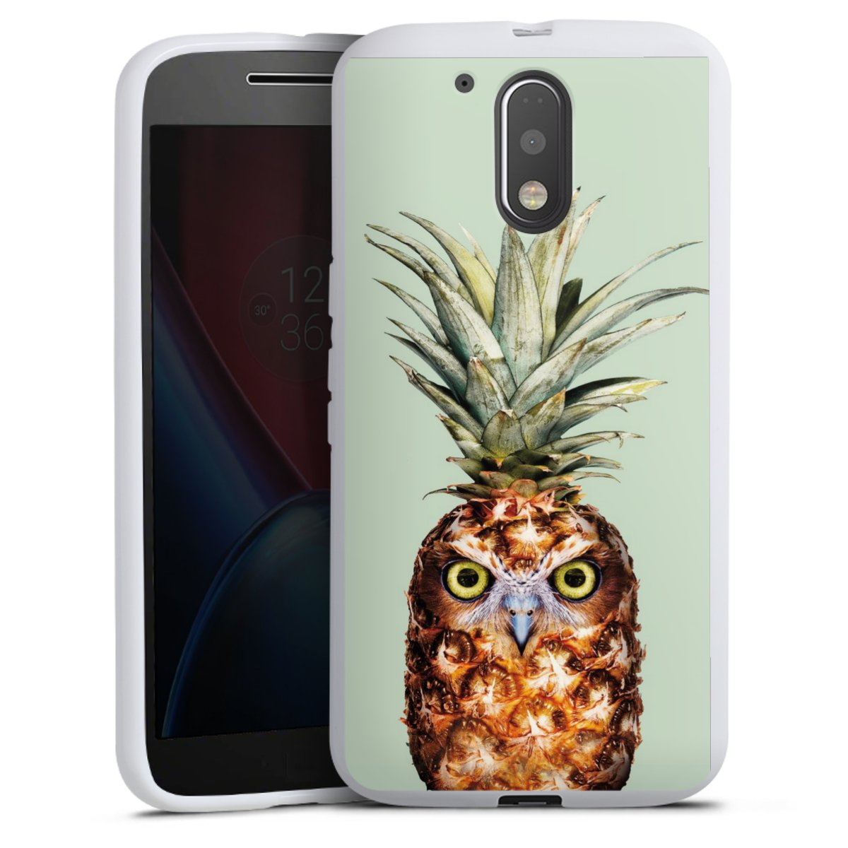 Gufo ananas