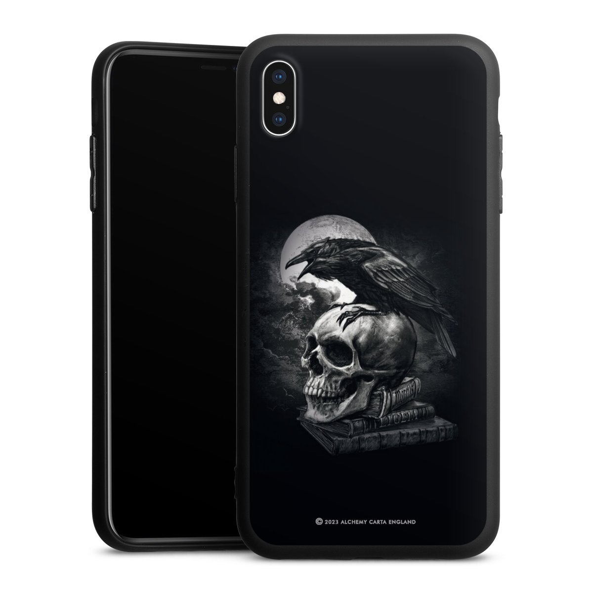 Poe's Raven