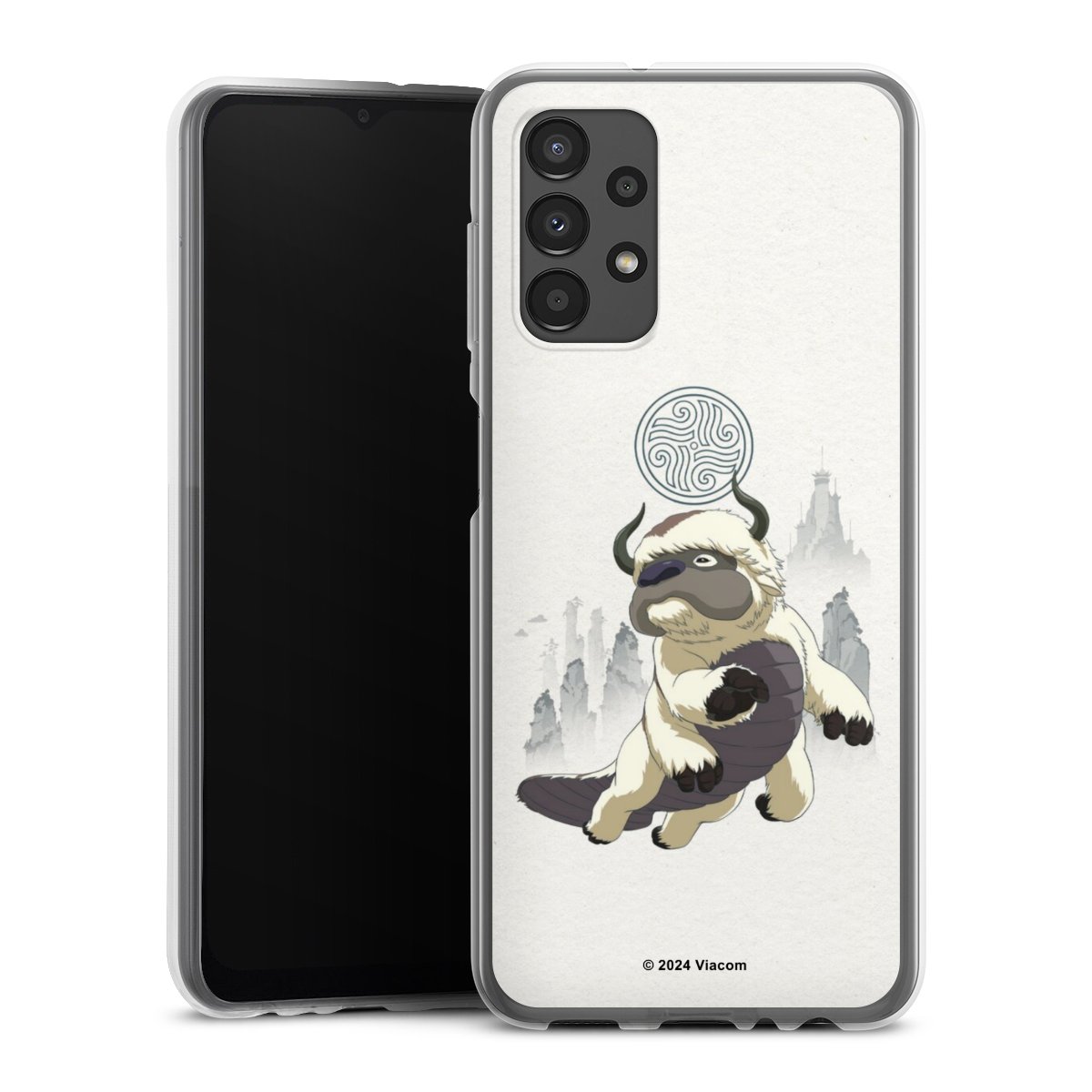 Silikon Case