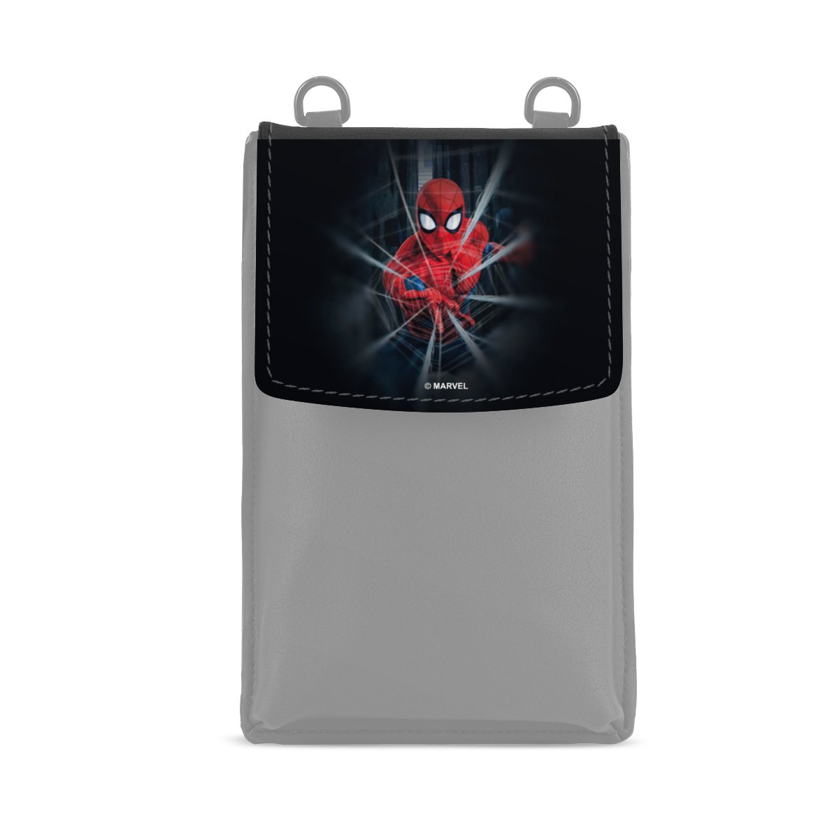 Toile Spider-Man