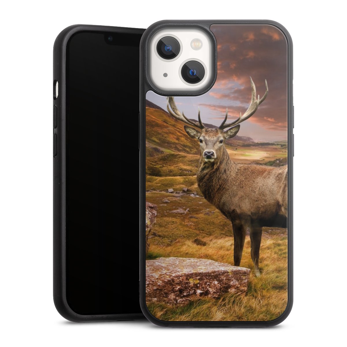 Cover Gallery