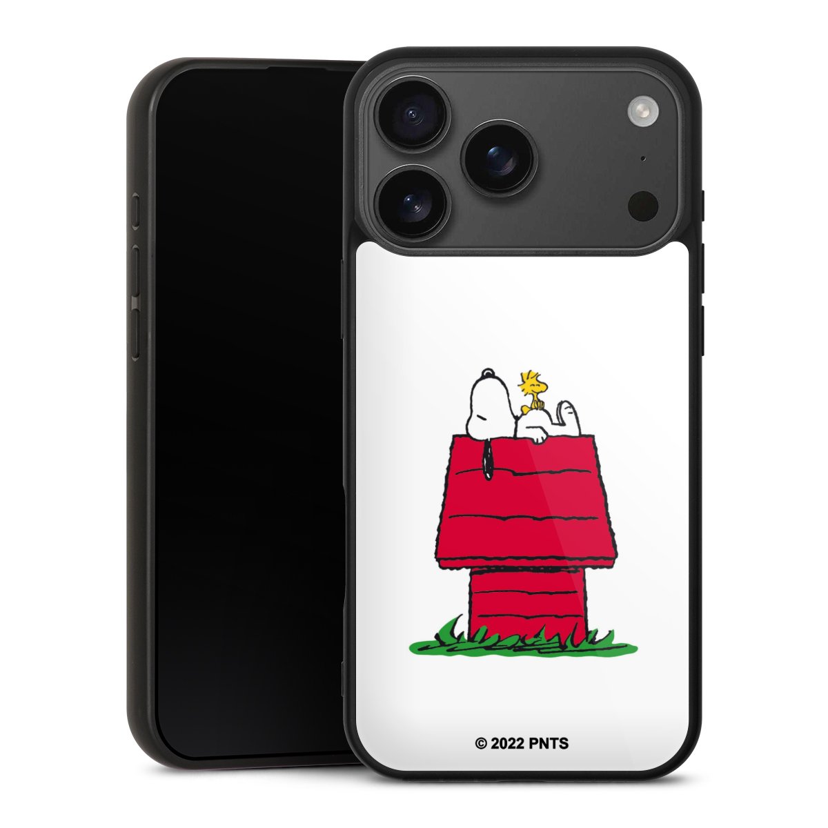 Snoopy and Woodstock Klassiek