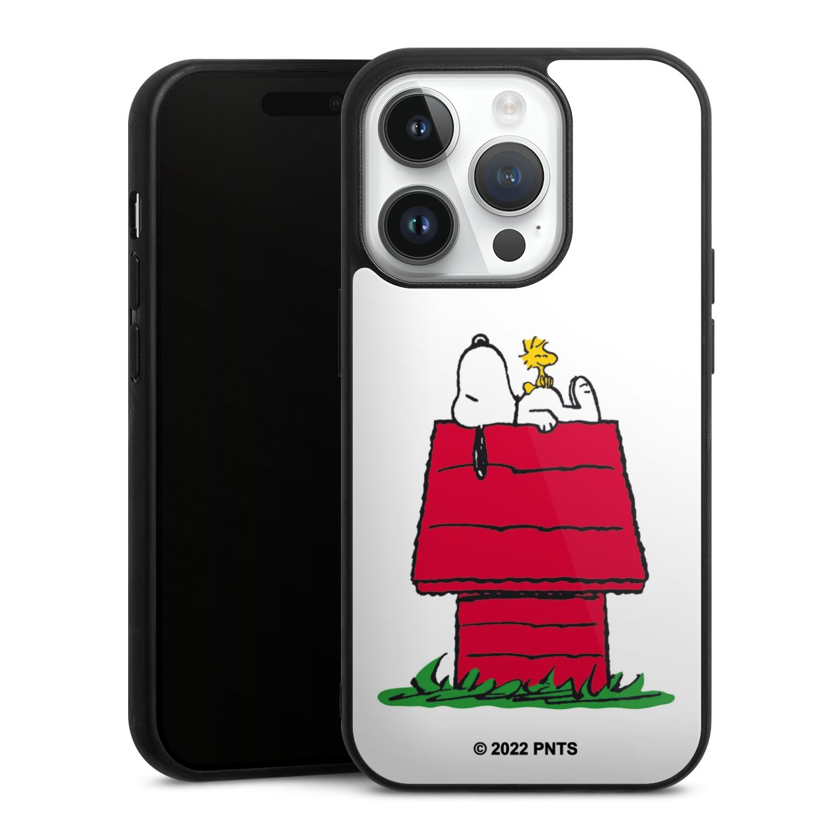 Snoopy and Woodstock Klassisch