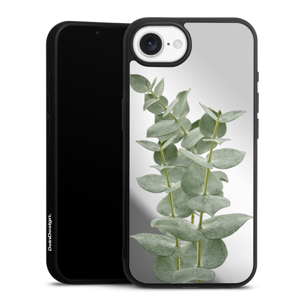 Eucalyptus fris transparant