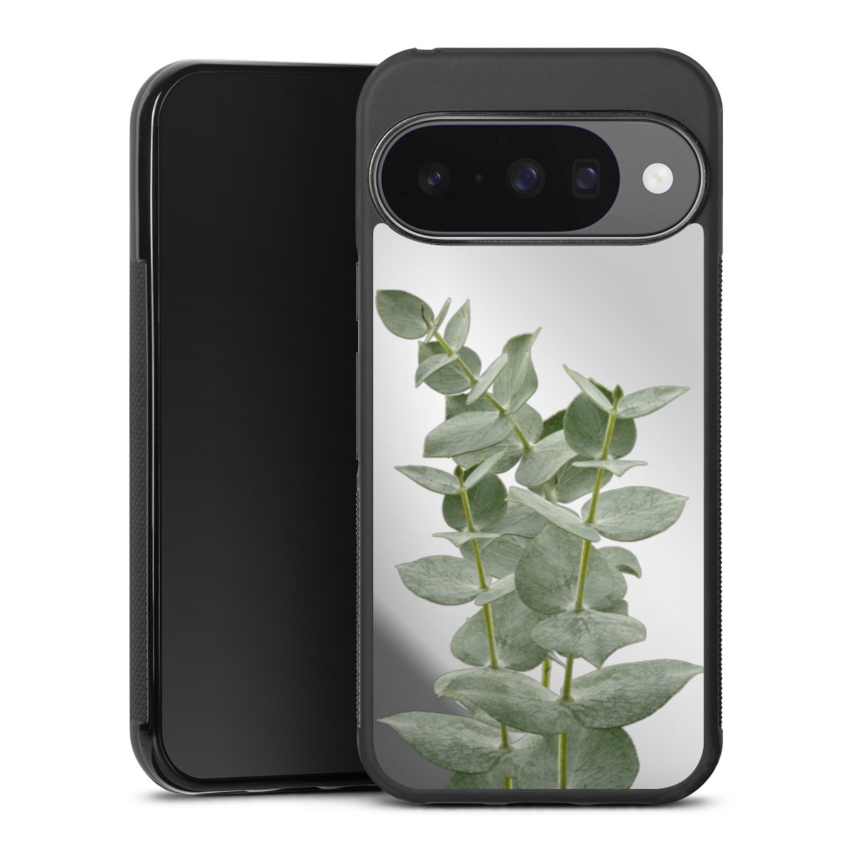 Eucalyptus fris transparant