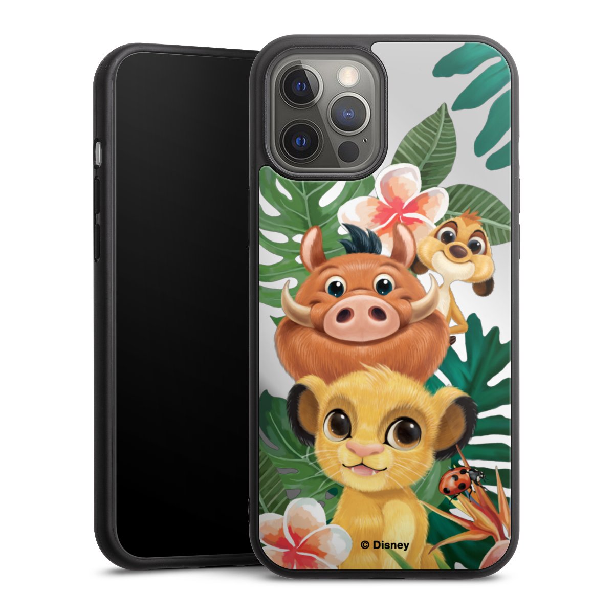 Simba, Timon, Pumba Transparent