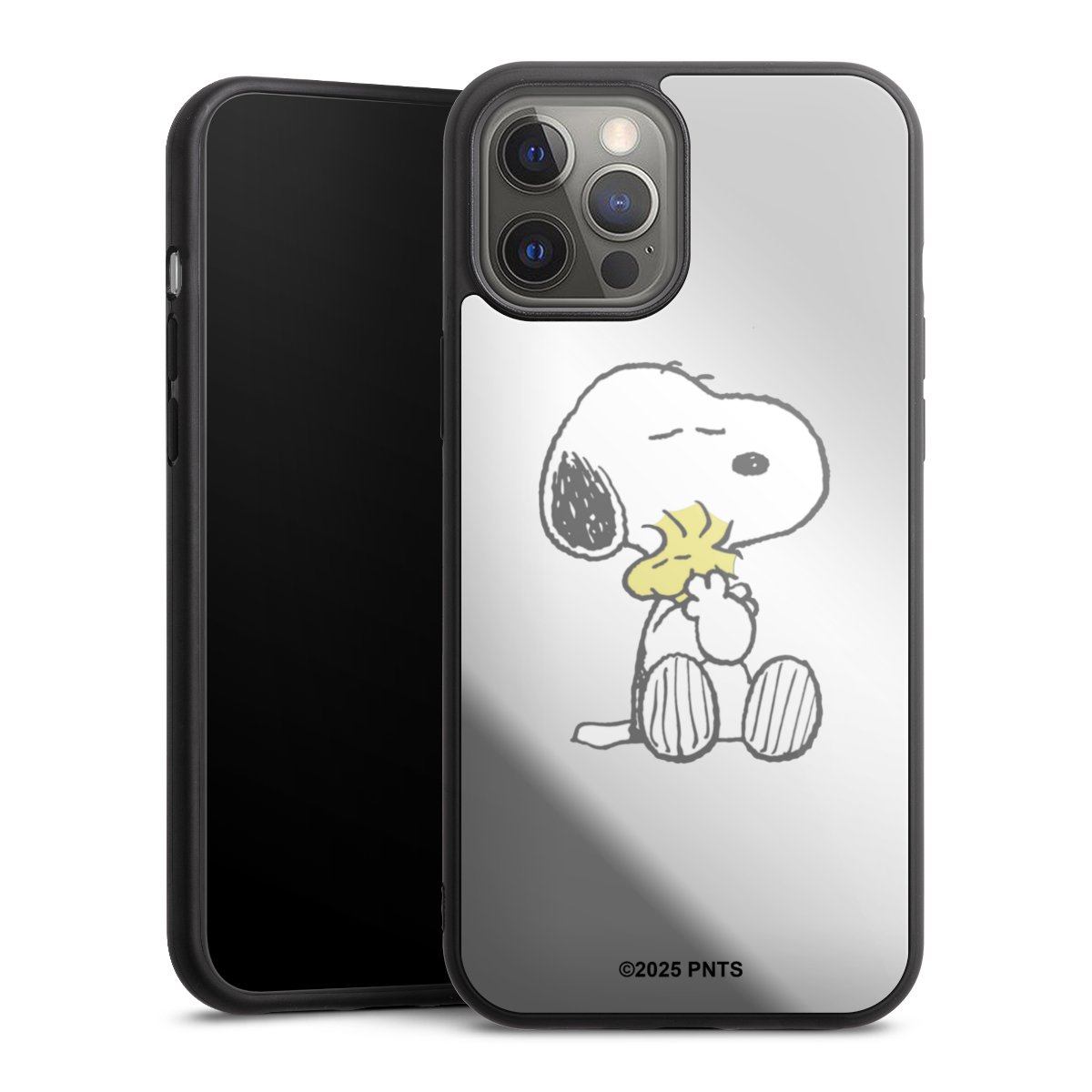 Snoopy And Woodstock Cuddling transparent