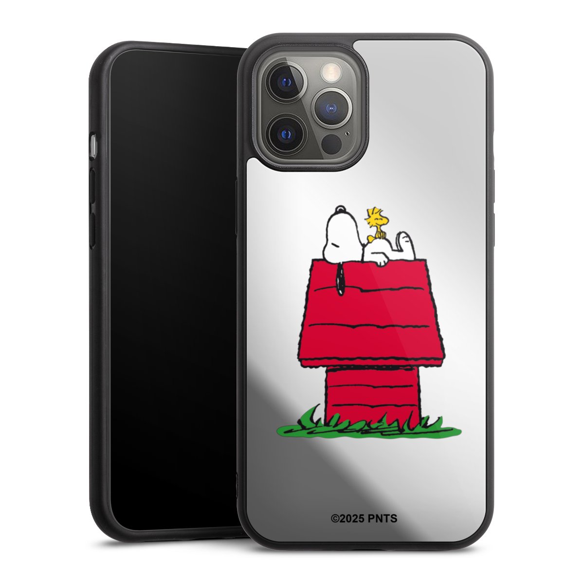 Snoopy and Woodstock Classic transparent