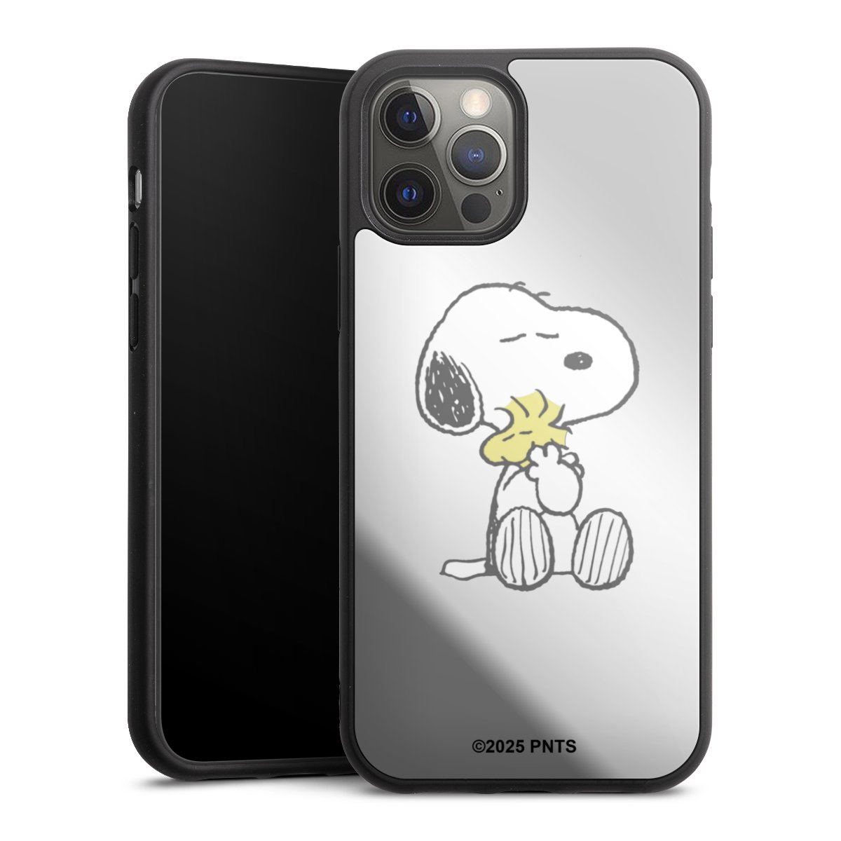 Snoopy And Woodstock Cuddling transparent